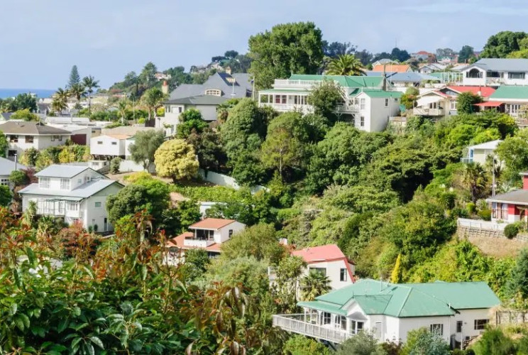 Napier