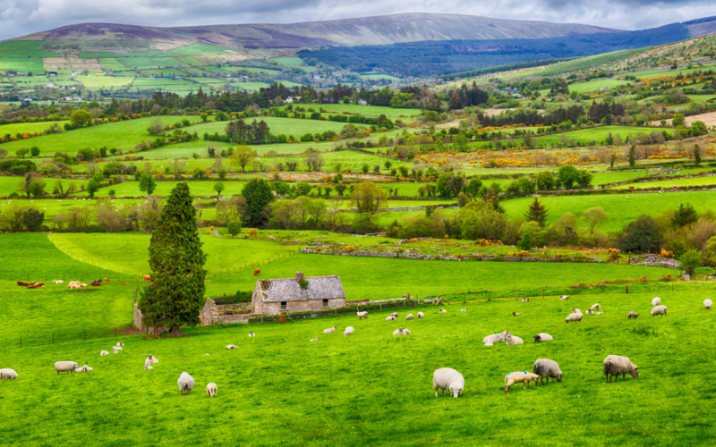 Foynes, Ireland